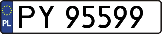 PY95599