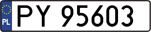 PY95603