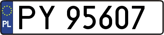 PY95607