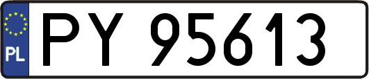 PY95613