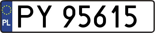PY95615