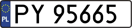 PY95665