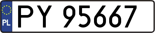 PY95667