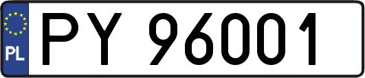 PY96001