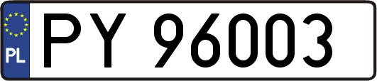 PY96003