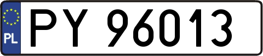 PY96013