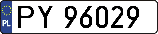 PY96029
