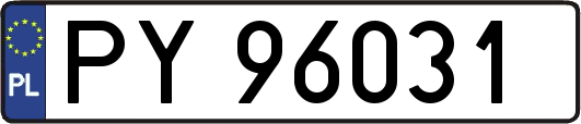 PY96031