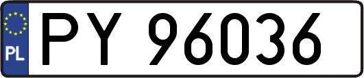 PY96036