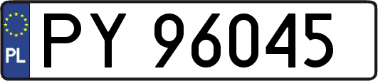 PY96045