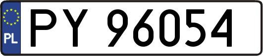 PY96054