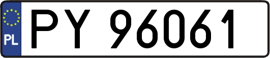 PY96061