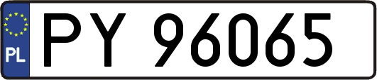 PY96065