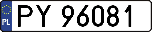 PY96081