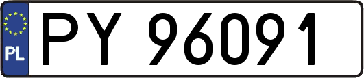 PY96091