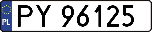PY96125