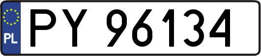PY96134