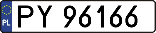 PY96166