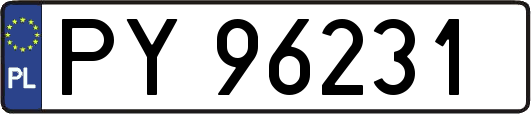 PY96231