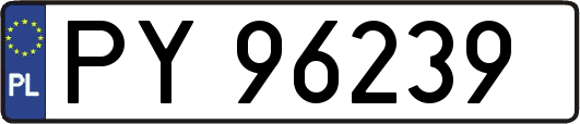 PY96239