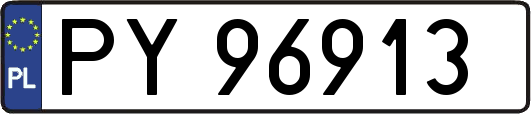 PY96913
