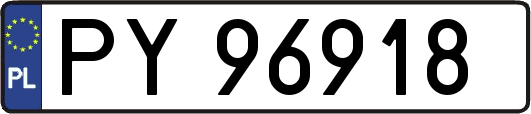 PY96918