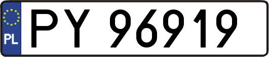 PY96919