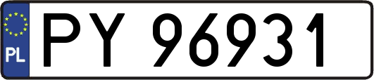 PY96931