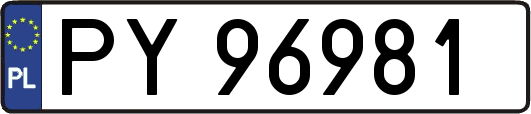 PY96981