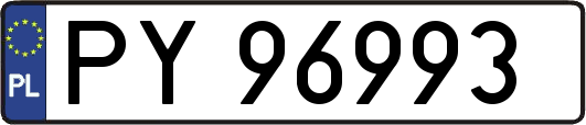 PY96993
