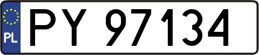PY97134