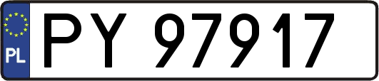 PY97917