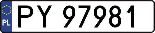 PY97981