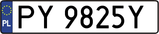 PY9825Y