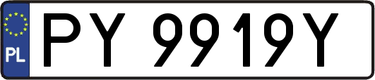 PY9919Y