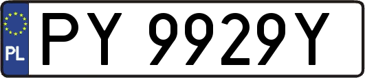 PY9929Y