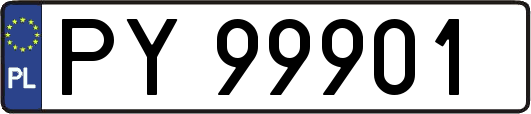 PY99901