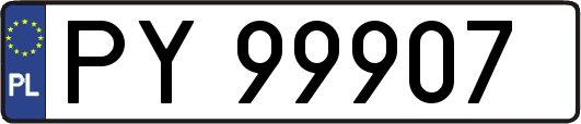 PY99907