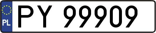 PY99909