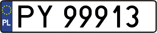 PY99913