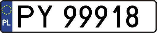 PY99918