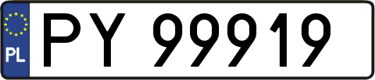 PY99919
