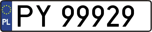 PY99929
