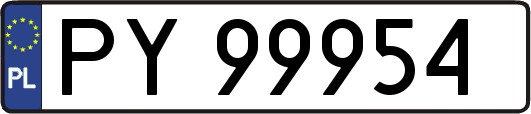 PY99954