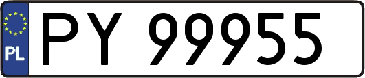 PY99955