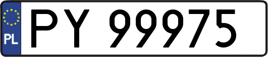 PY99975