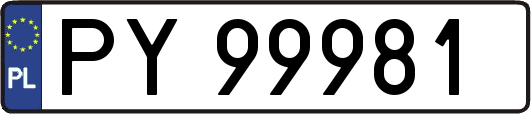 PY99981