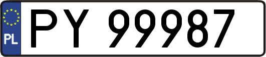 PY99987