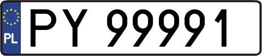 PY99991