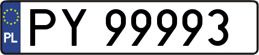 PY99993